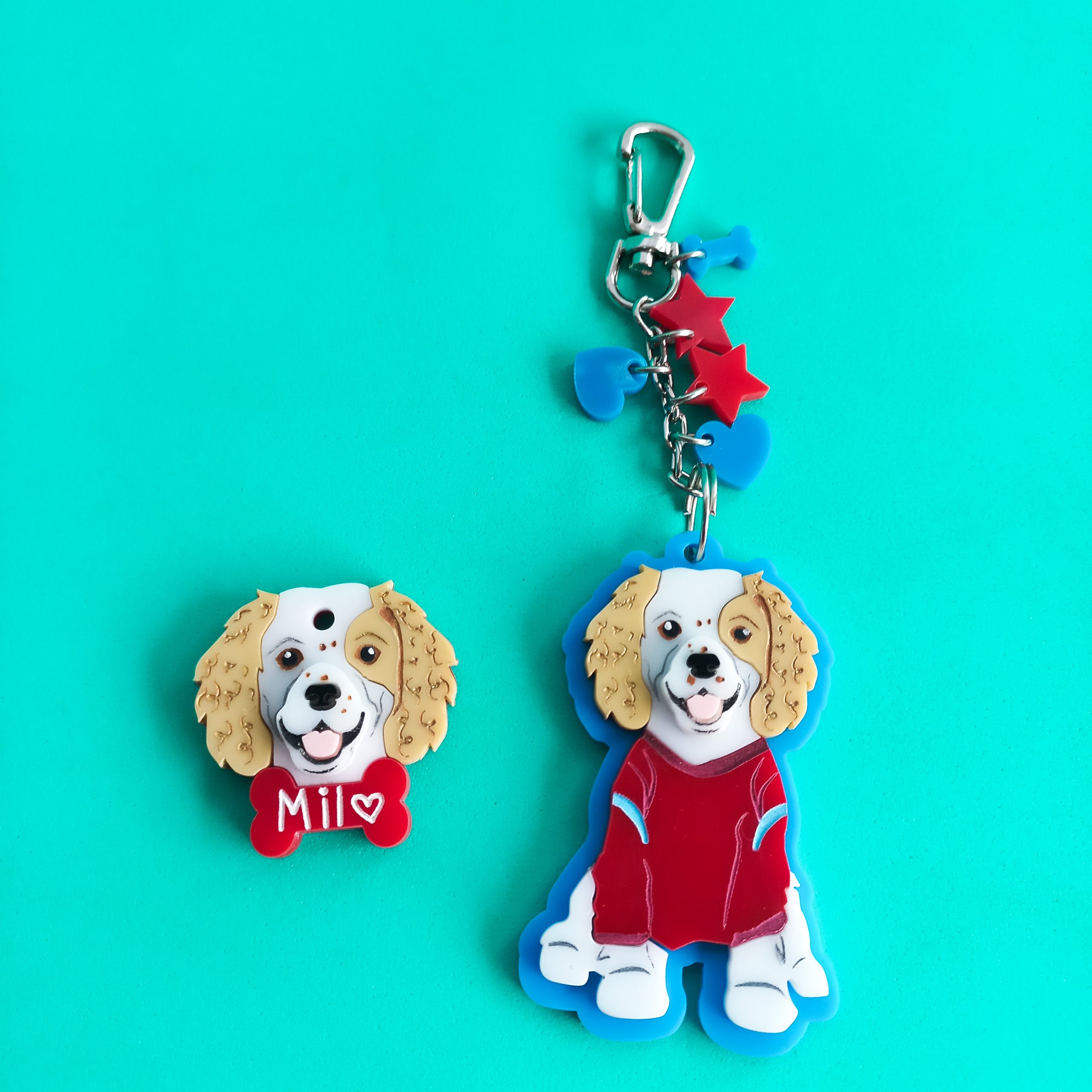 Set Llavero cuerpo completo + Placa - Imagen 3