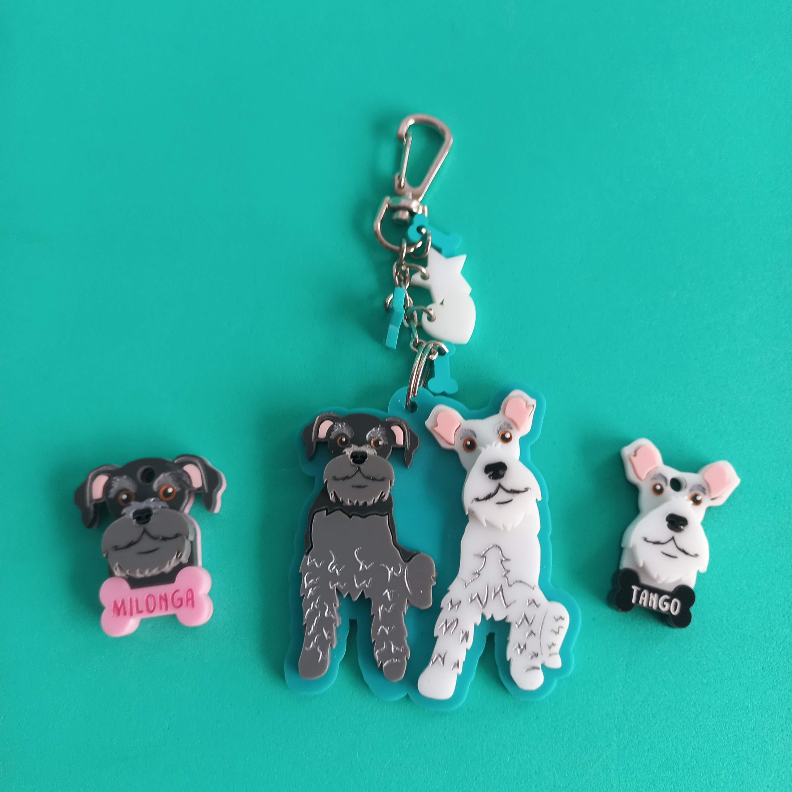 Set Dos placas + Llavero de dos cuerpos completos - Imagen 3