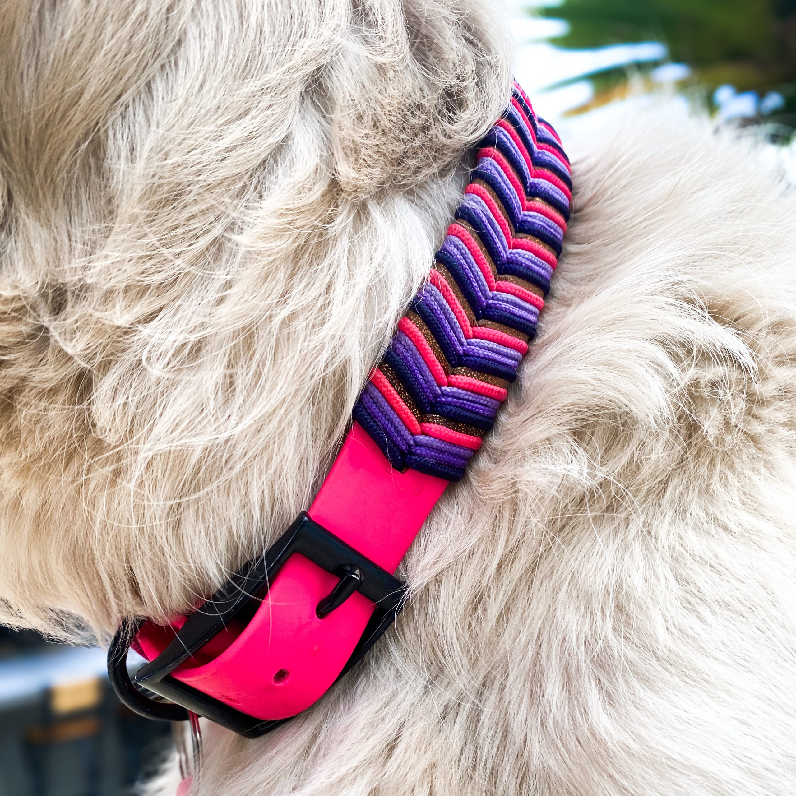 Collar de Goma Glow - Imagen 2