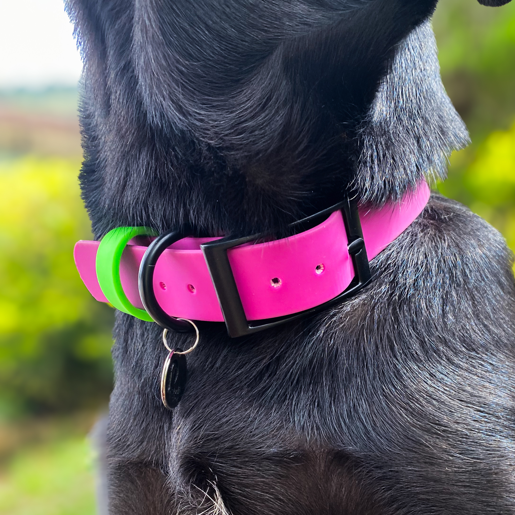 Set Goma Naturaleza - Imagen 6