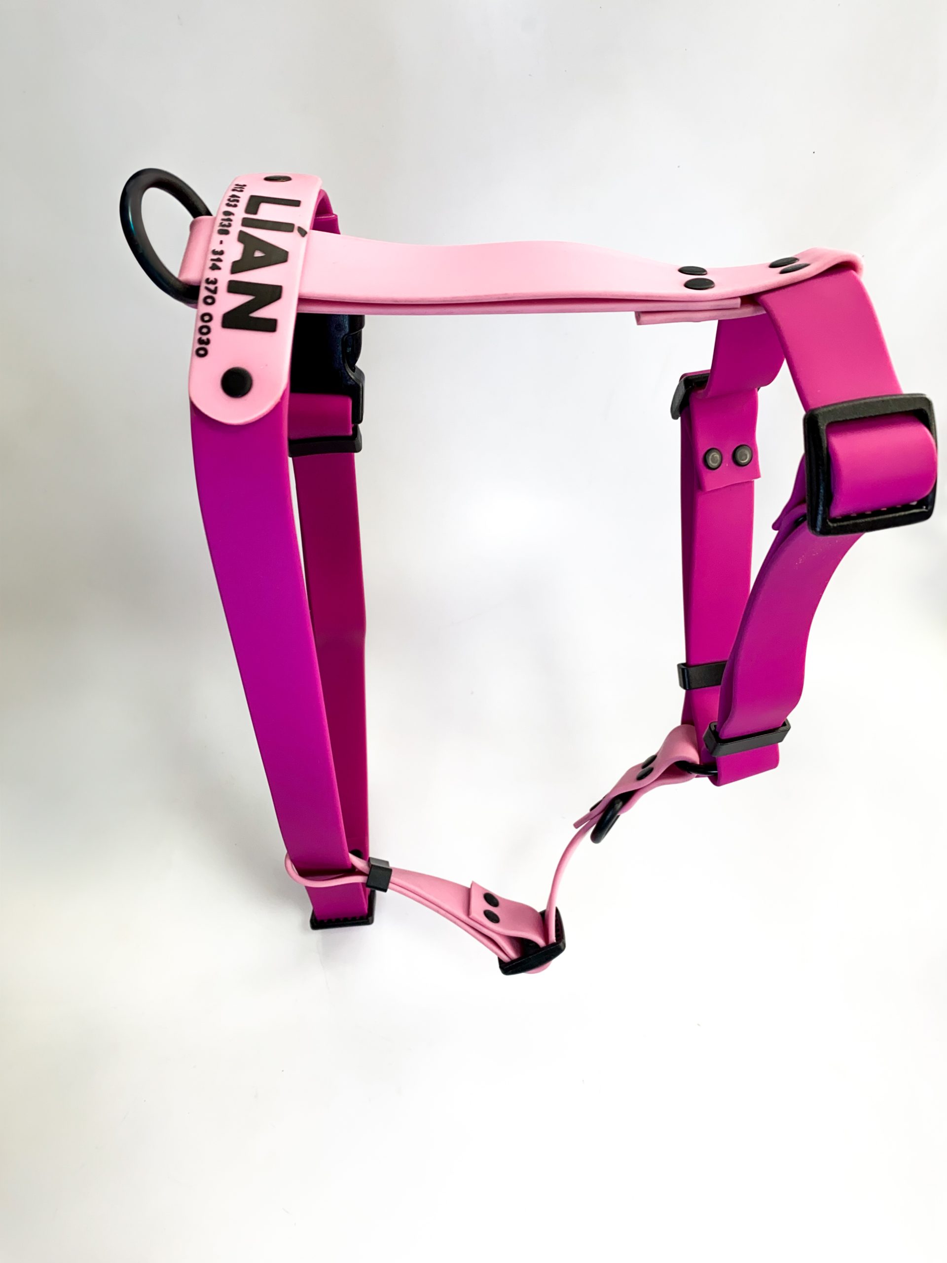 Set Arnés + Collar + correa - Imagen 5