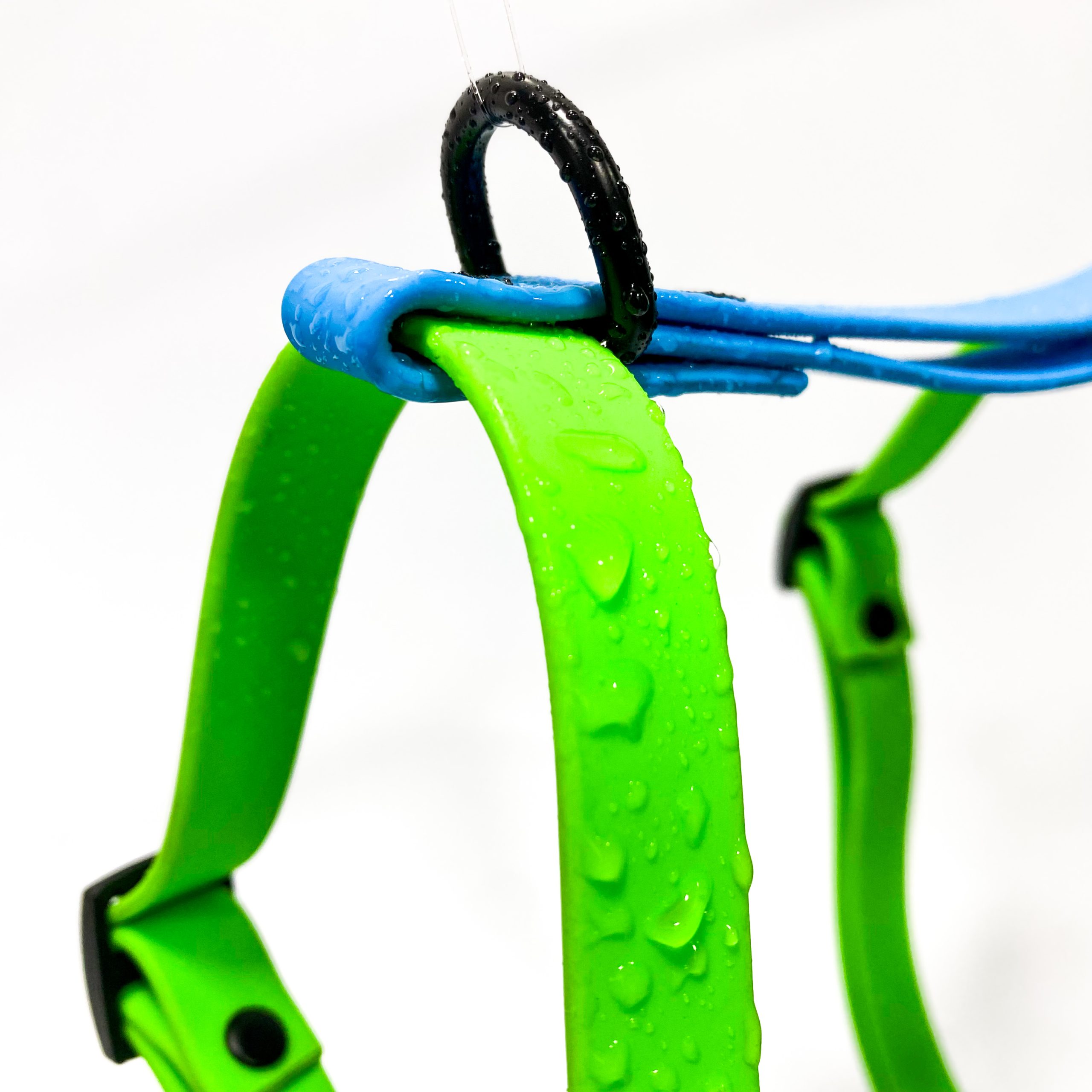 Set Arnés + Collar + correa - Imagen 6