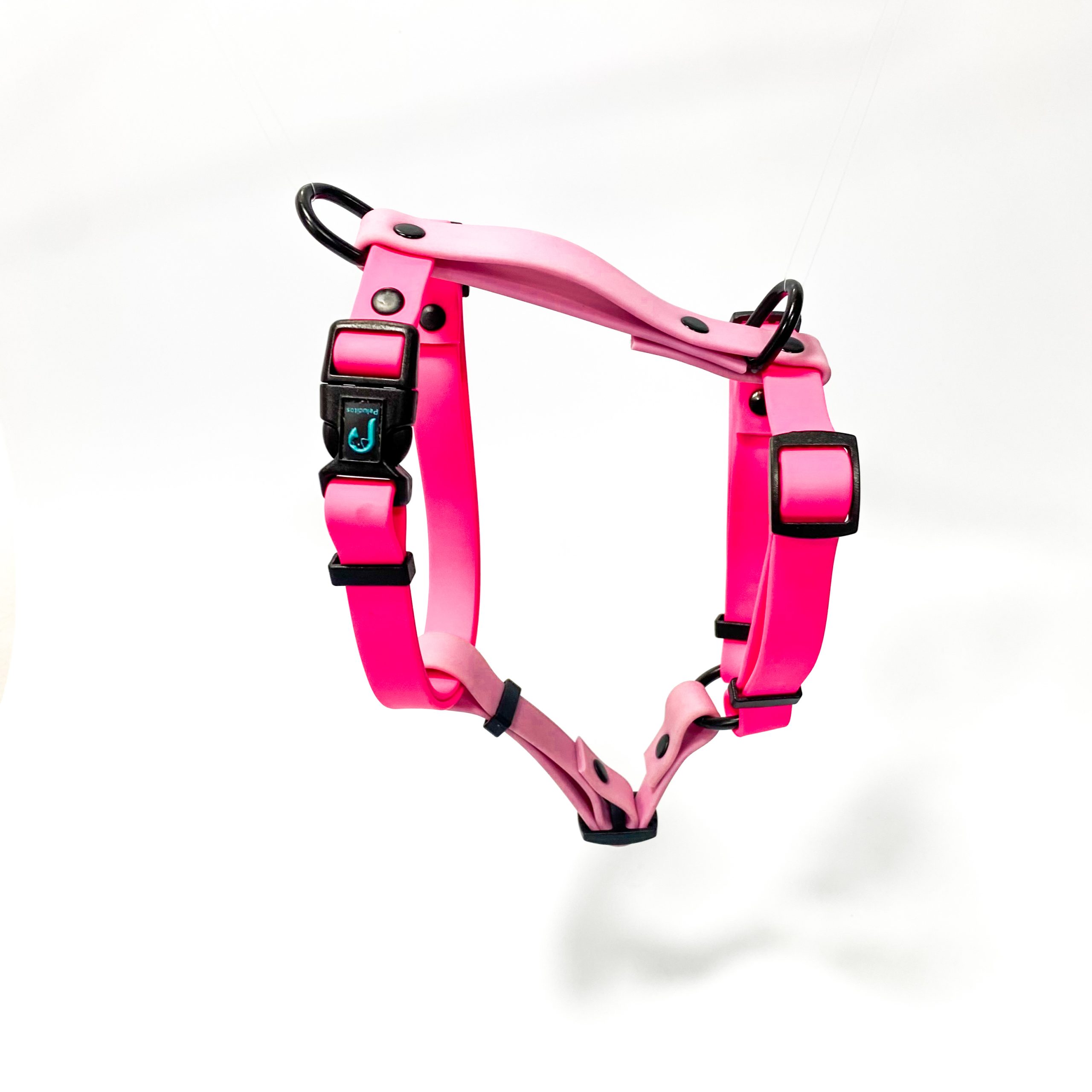 Set Arnés + Collar + correa - Imagen 12